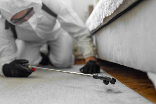 Professional Pest Control technician working in Oakbrook, KY